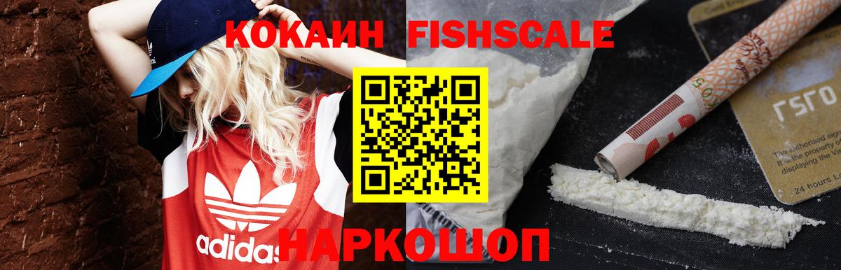 COCAIN Columbia  COCAIN Fish Scale  Заводоуковск  Вход с VPN 