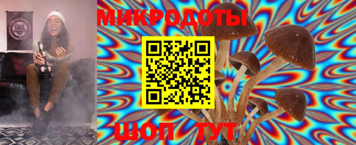 Заводоуковск  Галлюциногенные грибы Psilocybe  Вход с VPN  Псилоцибиновые грибы MAGIC MUSHROOMS 